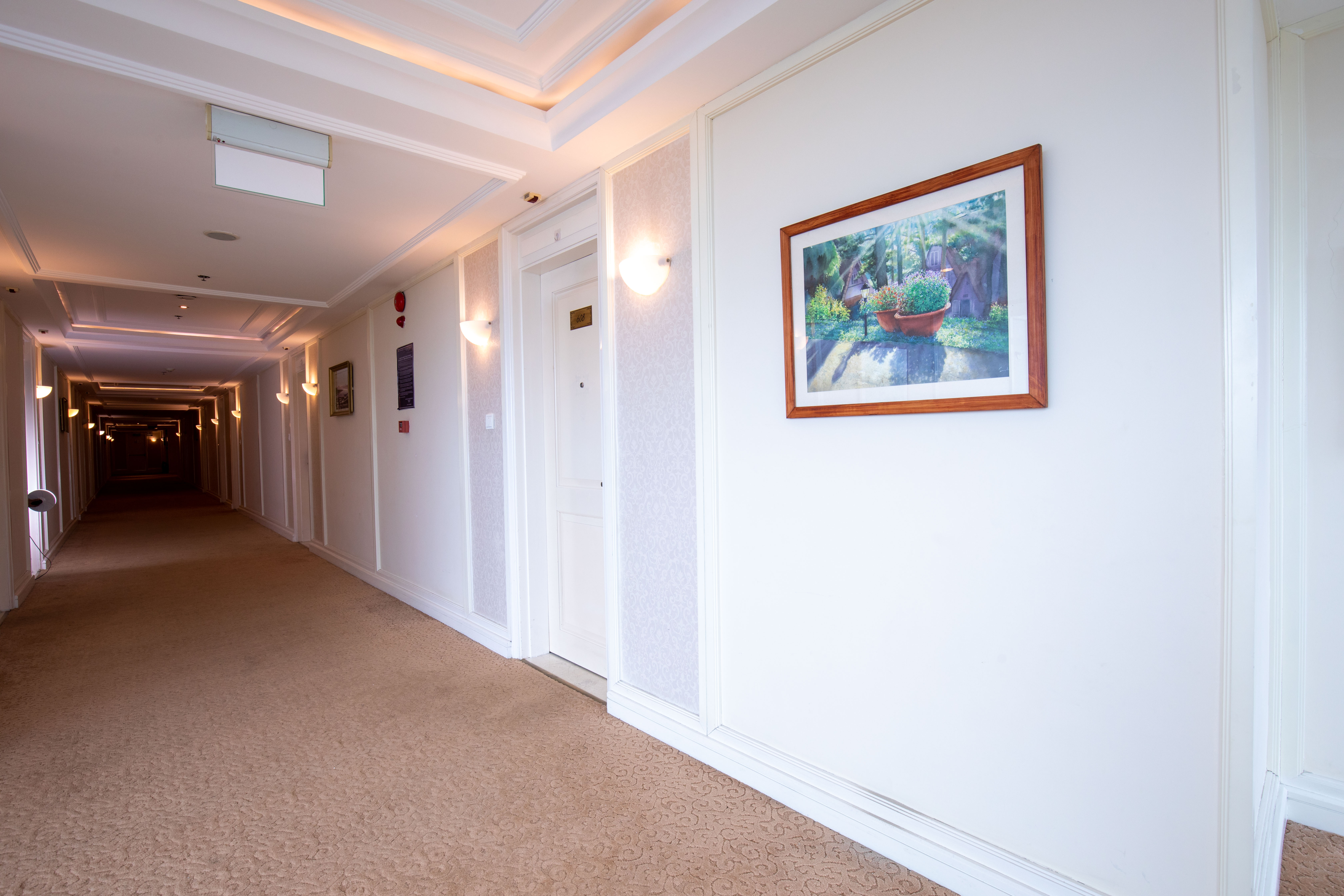 La Sapinette Hotel DaLat Over view