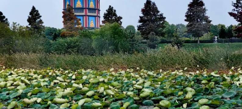 漫居安云酒店(扬州运河博物馆高旻寺店)图片