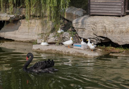 Dangshan Ancient City Impression Hotel Hotel Overview