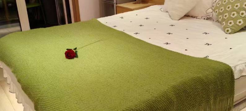 房东小张温泉公寓(遵化汤泉宫星空水世界店)图片