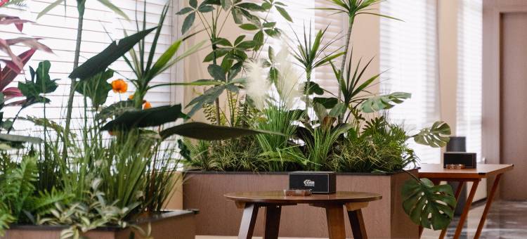 花间栖城市轻奢智能美宿(方特东方神画店)图片