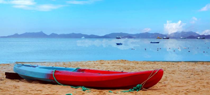 深圳官湖翠鸟·屿海海景民宿图片