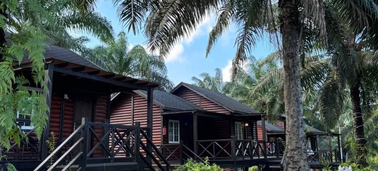 仙本那完美森态度假村 (24小时中文管家+免费镇上/码头接送班车)(Perfect Forest Eco-Resort)图片