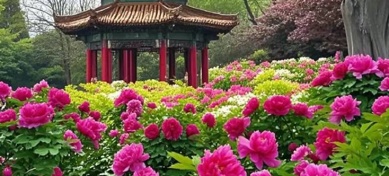 洛阳瑞莱悦旅酒店(丽景门十字街洛邑古城店)图片