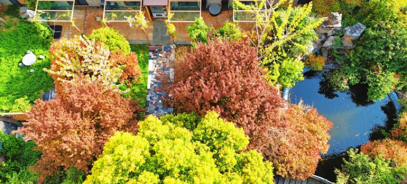 舒客花园民宿酒店(金鼎皇庄店)图片