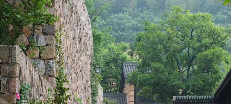 湖州十里芳菲香积岭村落图片