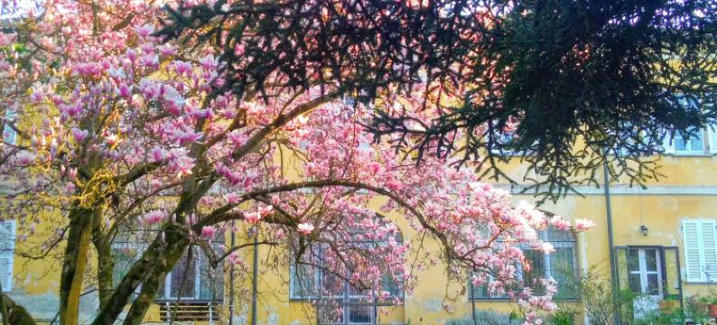 布莱斯布住宿加早餐旅馆(Bresbot B&B)图片