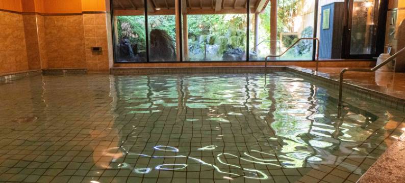 本栖凤凰酒店(Motosu Phoenix Hotel)图片