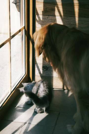 芒卟迎·chill度假酒店(傣族古镇店)图片