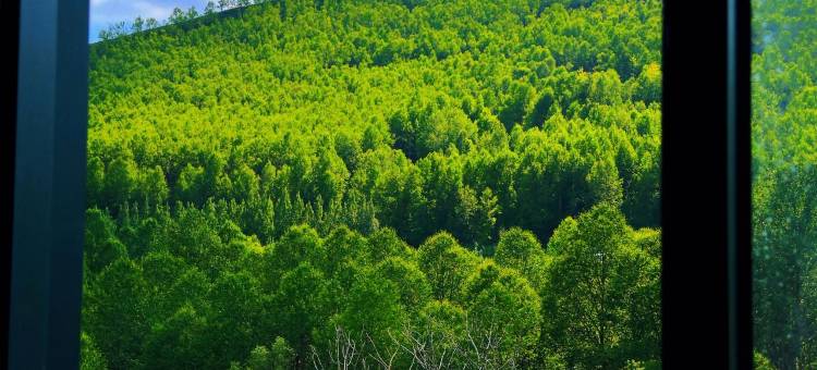化隆扎巴阿岱山景宾馆图片