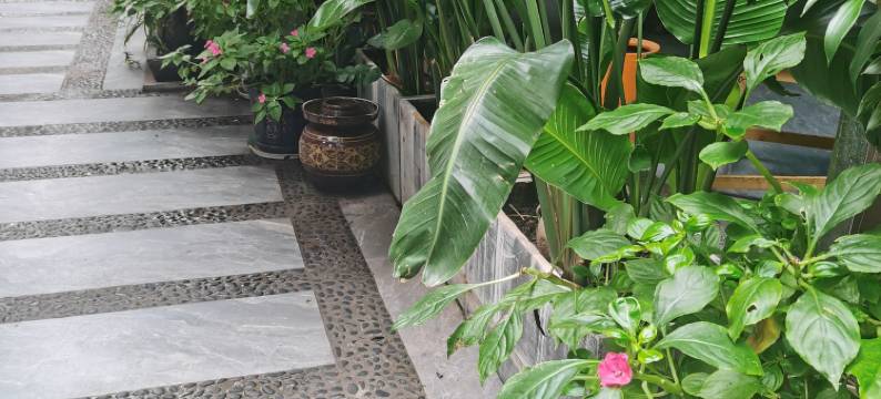 大理玉几别院(双廊古镇洱海店)图片