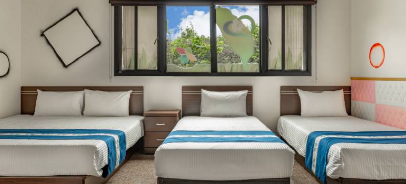 金龙山客栈图片