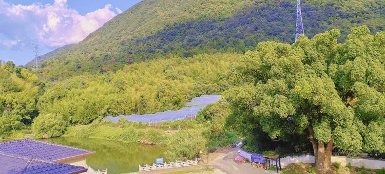 桐庐沐童小院民宿(大奇山国家森林公园店)图片
