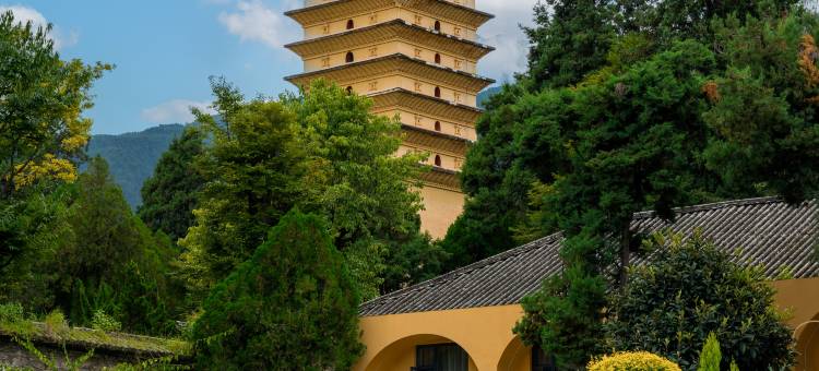 大理古城花间府·松语图片