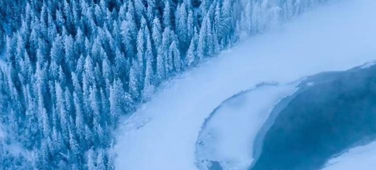 大菠萝山野派对｜中古法式雪山观景度假民宿(喀纳斯景区店)图片