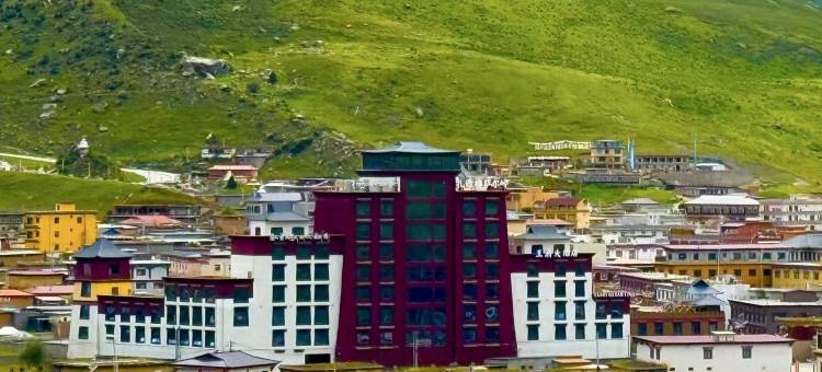 德格竹庆王府大酒店图片