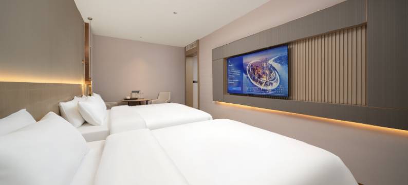 麗枫酒店(洛阳洛邑古城丽景门十字街店)图片