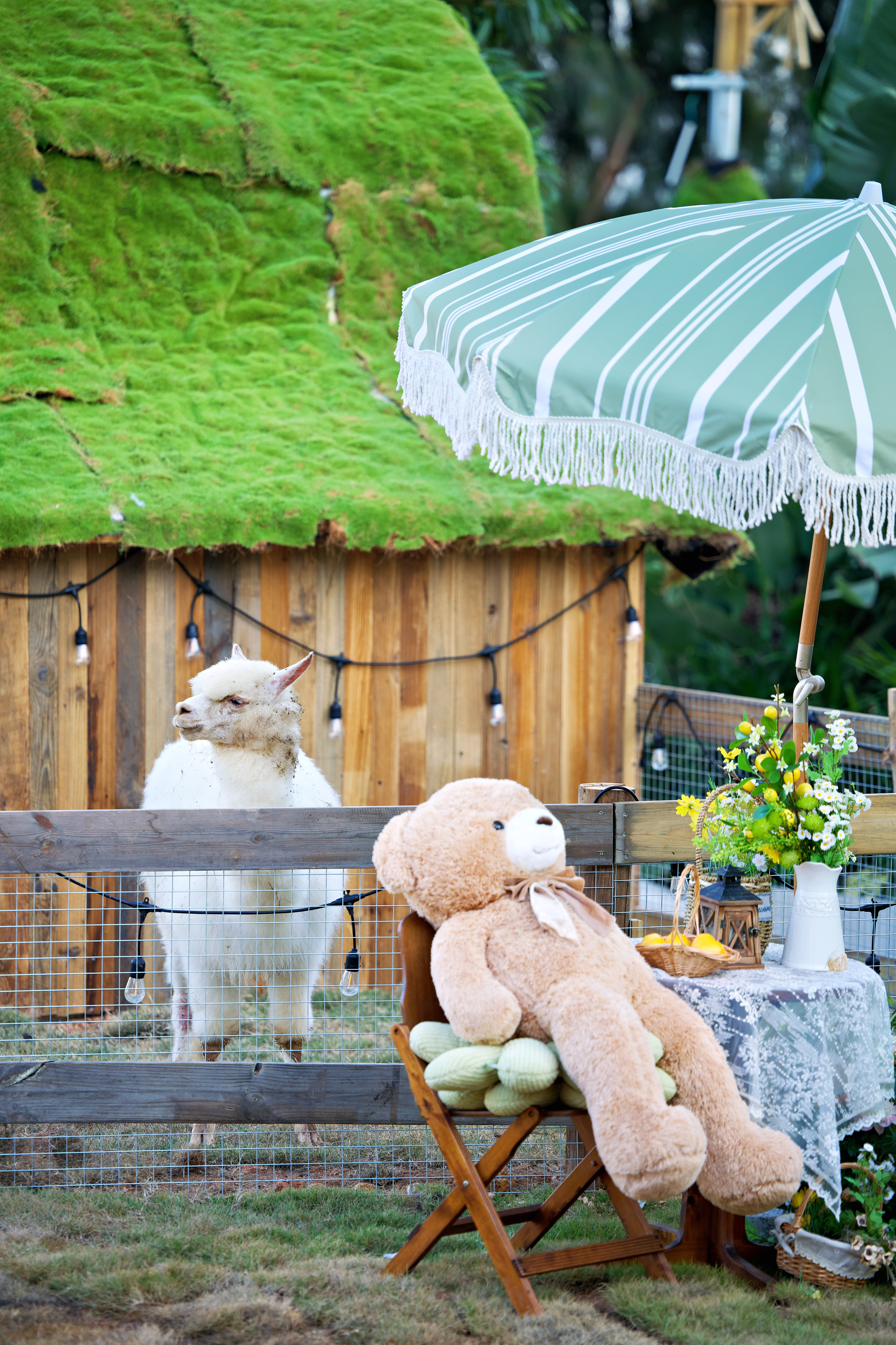 Golden Sands Gulf HotelOver view