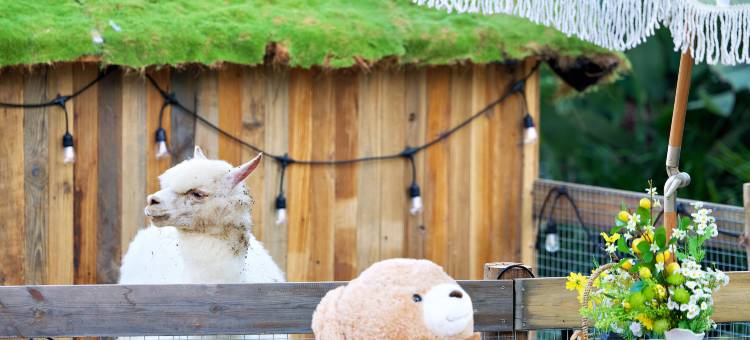 厦门金沙湾宾馆(环岛路黄厝沙滩店)图片