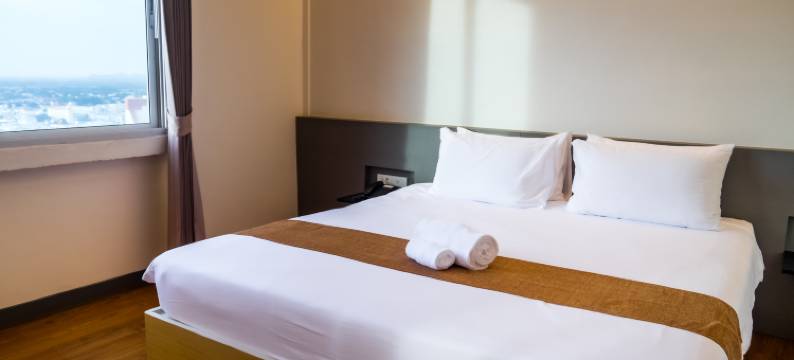 李花园广场酒店(Lee Gardens Plaza Hotel)图片