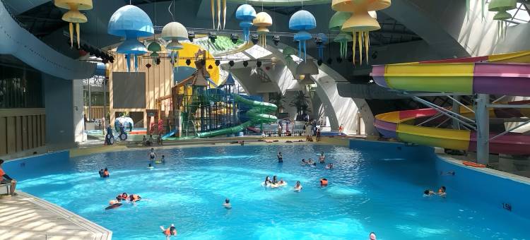 九股水温泉中心酒店图片