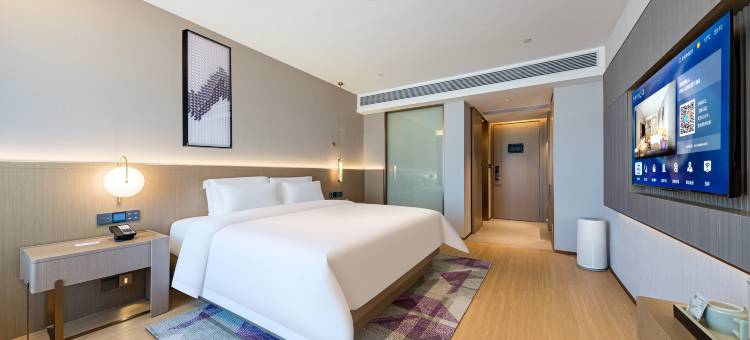 麗枫酒店(惠来隆江镇政府店)图片