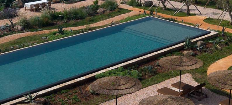 方岛丨巨鲸图片