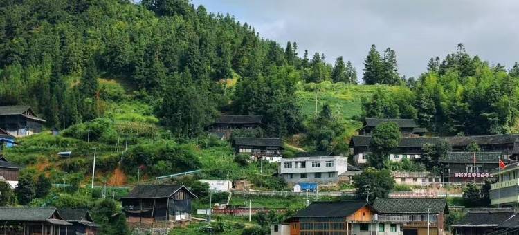 东方蜡染山间民宿(明秀蜡染坊店)图片