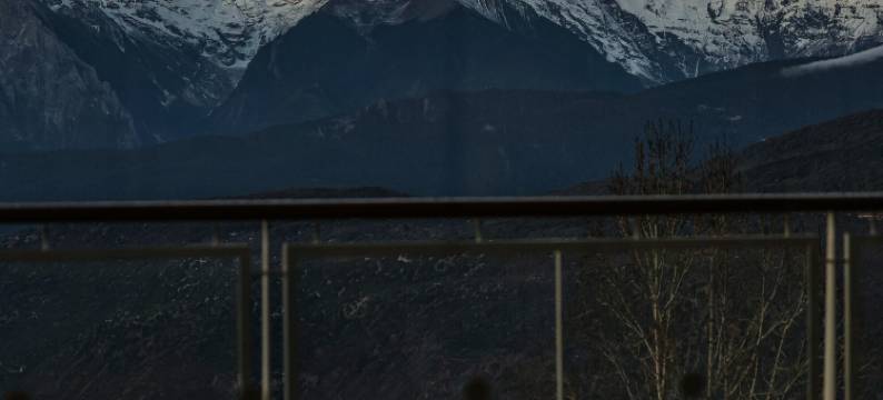 大乐之野(德钦梅里雪山店)图片