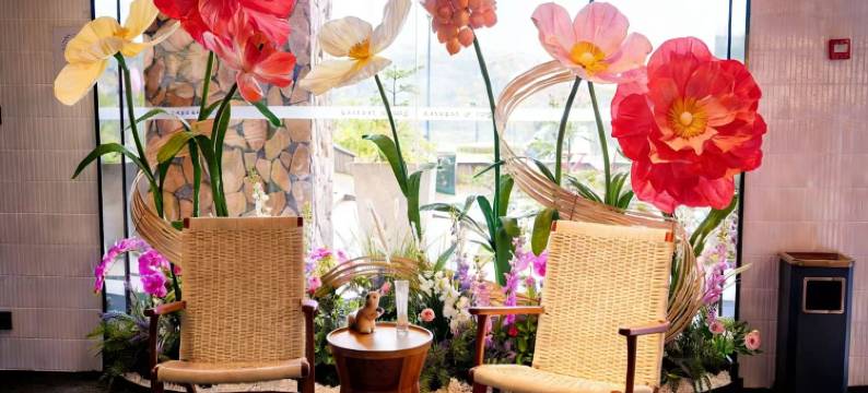 西岭雪山西舍映雪酒店图片