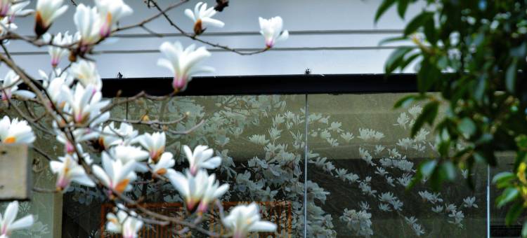 花筑·其间·咖啡民宿 (西湖区灵隐寺店)图片