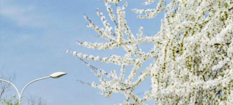 西安浐灞喜来登酒店(务庄地铁站)图片