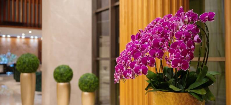 深圳市宜居酒店图片