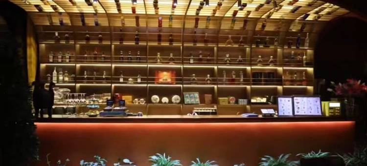 色达珠日大酒店(金马广场店)图片