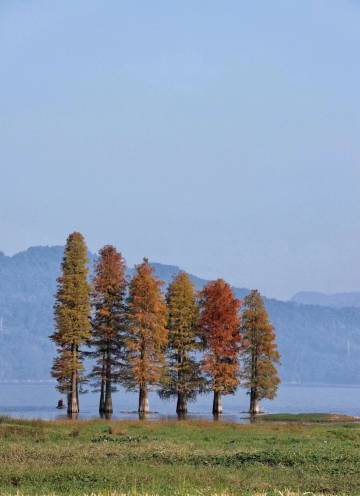 大乐之野·谷舍(余姚店)图片