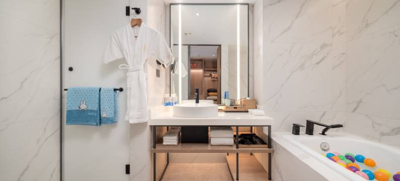 成都天府丽都喜来登饭店(天府广场店)图片