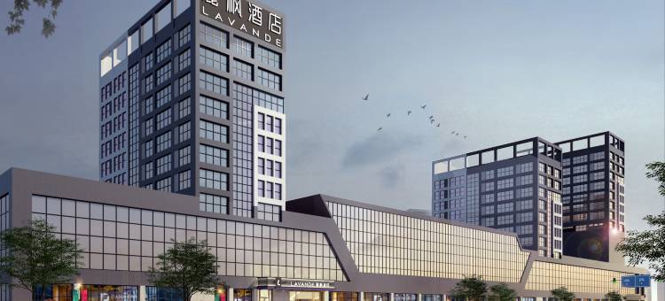 麗枫酒店(临沂广州路店)图片