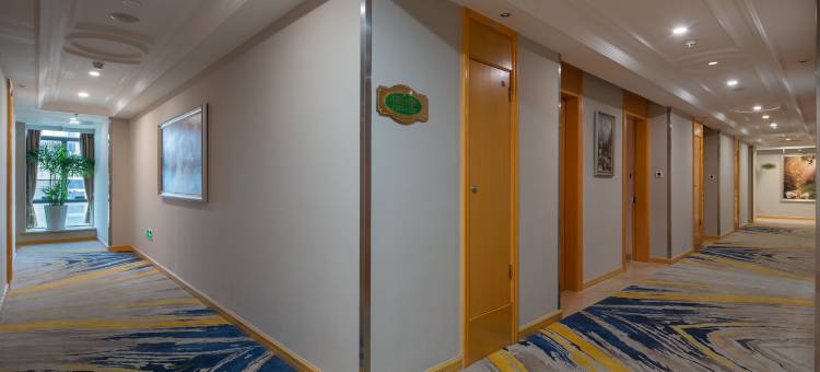 维纳国际酒店(深圳科学技术馆光明大街地铁站店)图片