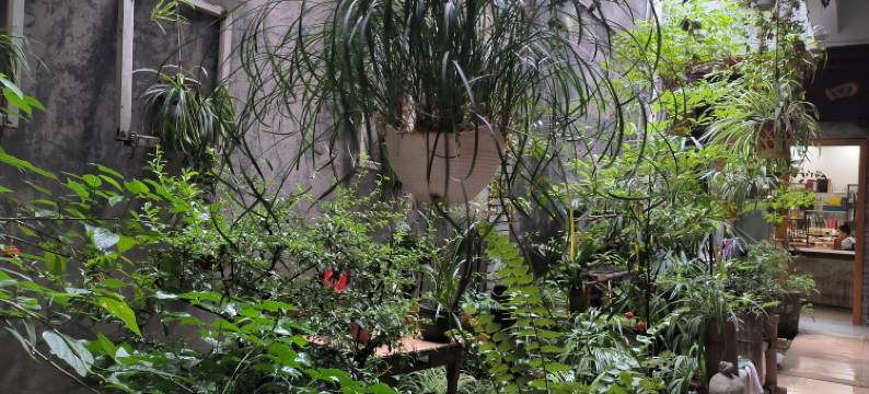 崇州兰馨商务旅社图片