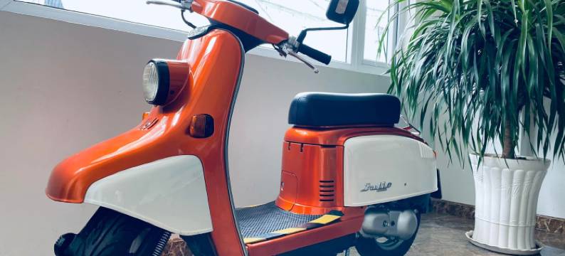 大叻-安芳酒店(Anh Phuong Hotel Da Lat)图片