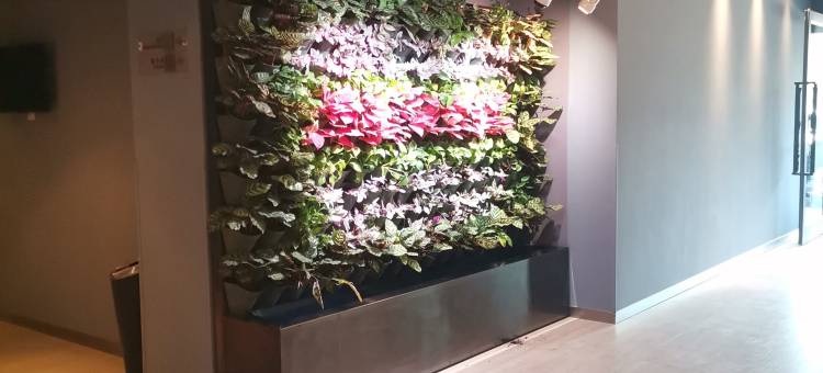 锦江之星(安阳工学院店)图片