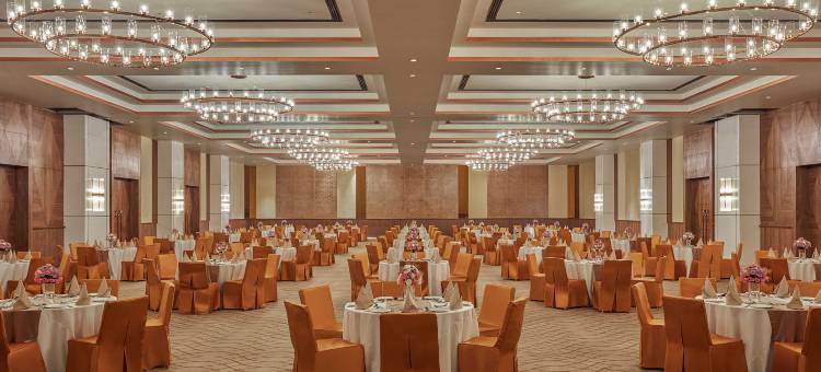 菠罗奈斯希尔顿逸林酒店(DoubleTree by Hilton Varanasi)图片