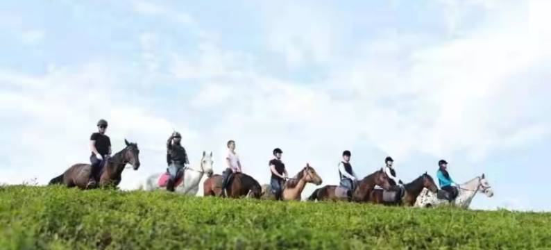 南雅·花海泳池环山Villa美宿图片