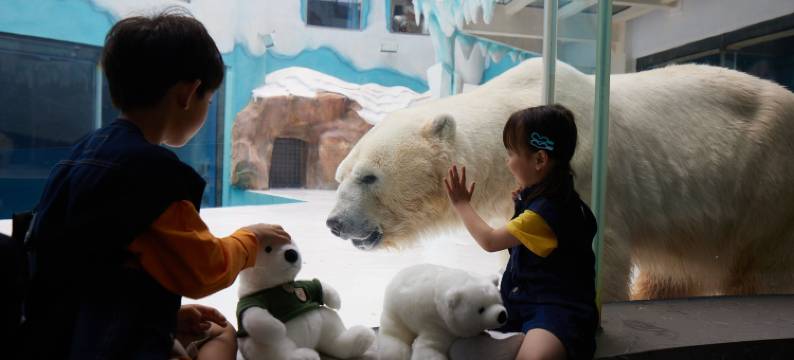 哈尔滨极地公园北极熊酒店(太阳岛地铁站店)图片