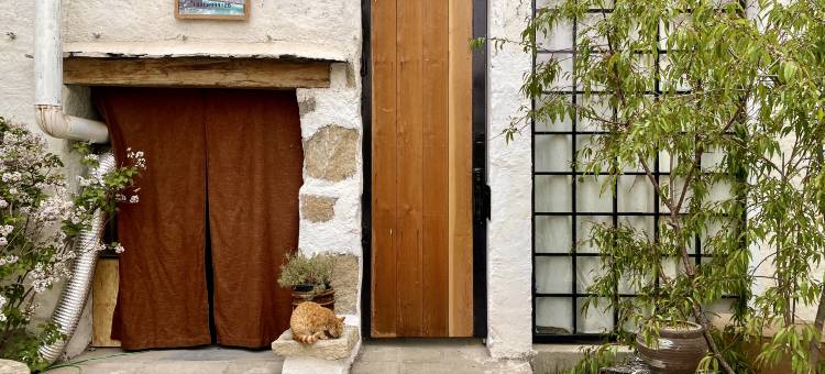 单身大本营图片