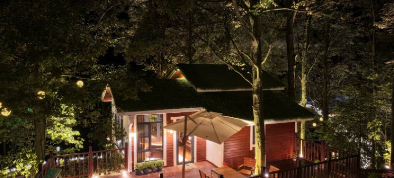 源山雅院·森林静逸民宿(雅安上里店)图片