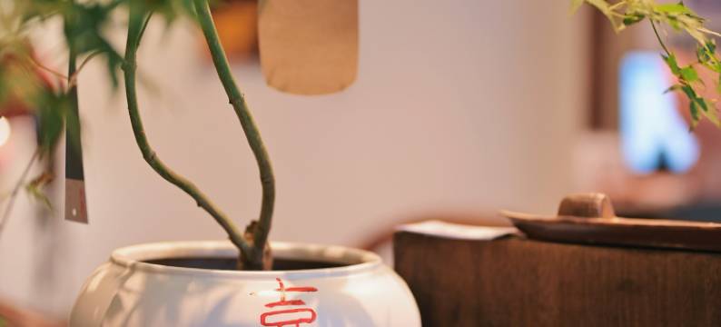 叁房柒舍民宿(洛邑古城店)图片