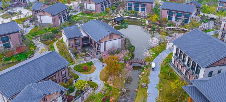 普陀山观音法界观音村居士学院图片
