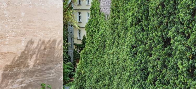 卡洛塔公寓(Carlotta Apartments)图片