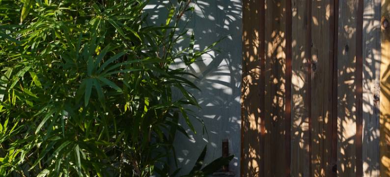 西递西福禄民宿图片